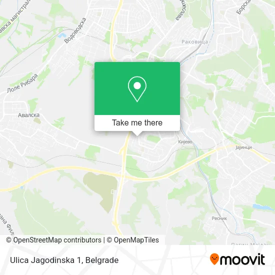 Ulica Jagodinska 1 map