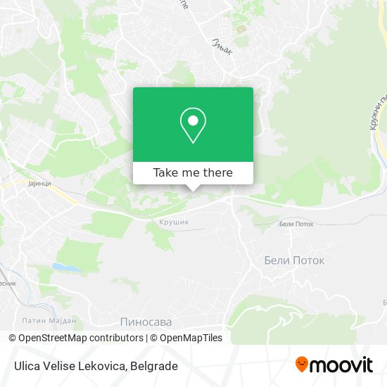 Ulica Velise Lekovica map