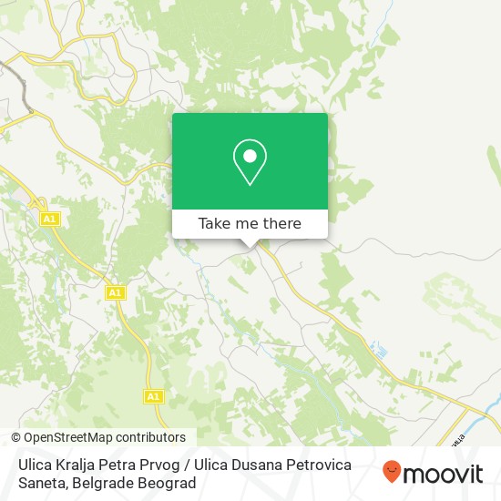 Ulica Kralja Petra Prvog / Ulica Dusana Petrovica Saneta map