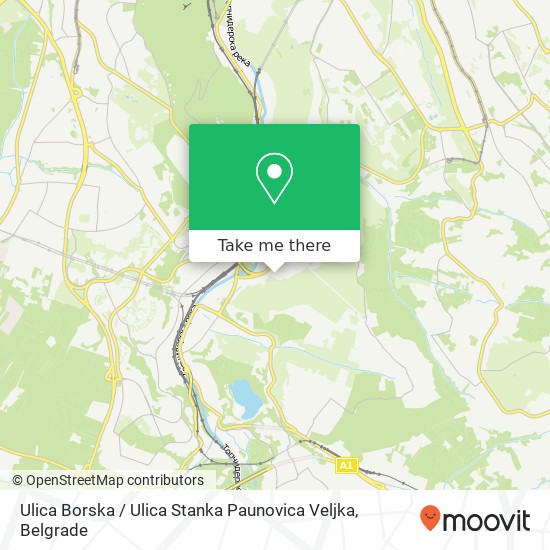 Ulica Borska / Ulica Stanka Paunovica Veljka map