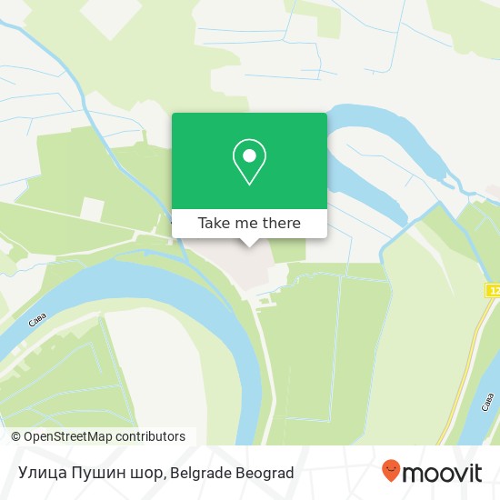 Улица Пушин шор map