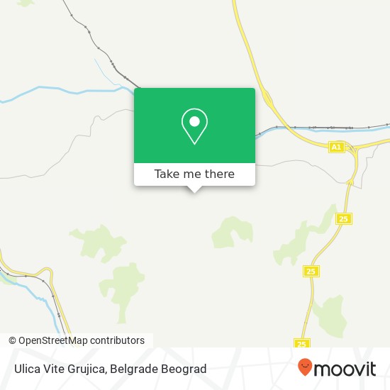 Ulica Vite Grujica map