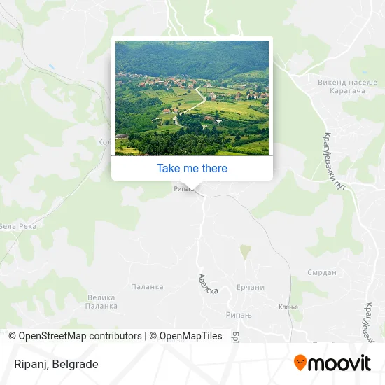 Ripanj map