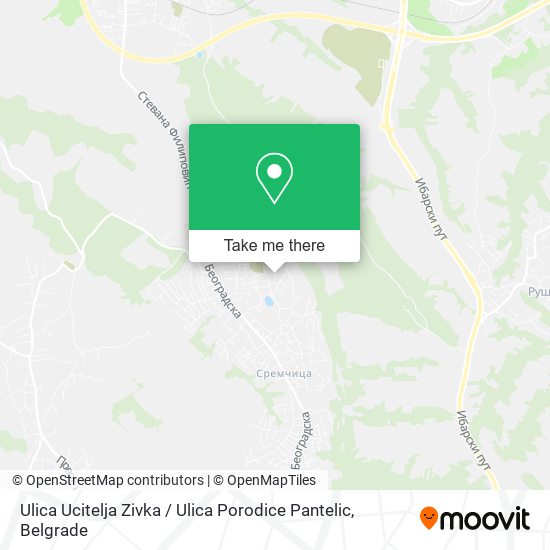 Ulica Ucitelja Zivka / Ulica Porodice Pantelic map