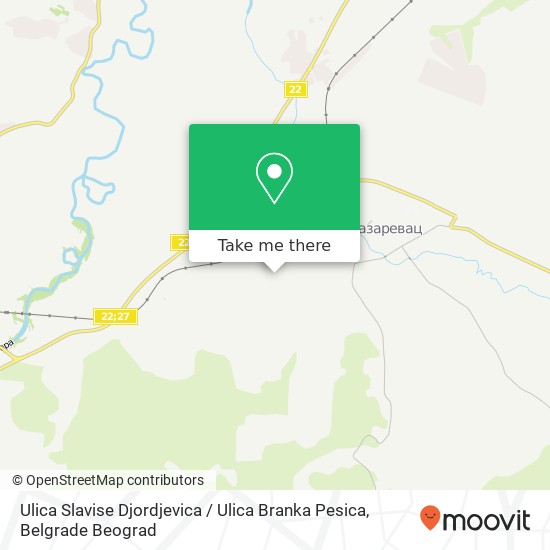 Ulica Slavise Djordjevica / Ulica Branka Pesica map