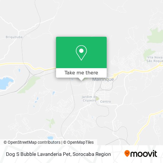 Dog S Bubble Lavanderia Pet map