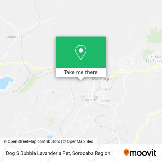 Dog S Bubble Lavanderia Pet map