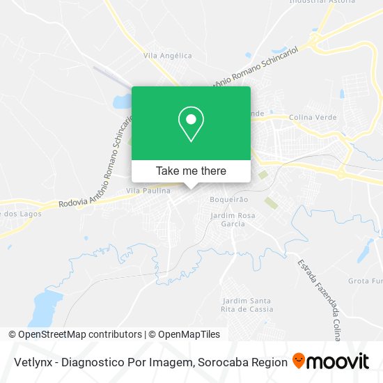 Mapa Vetlynx - Diagnostico Por Imagem