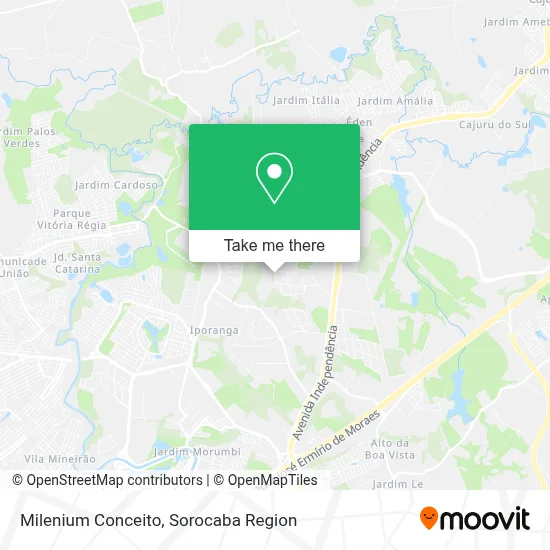Milenium Conceito map