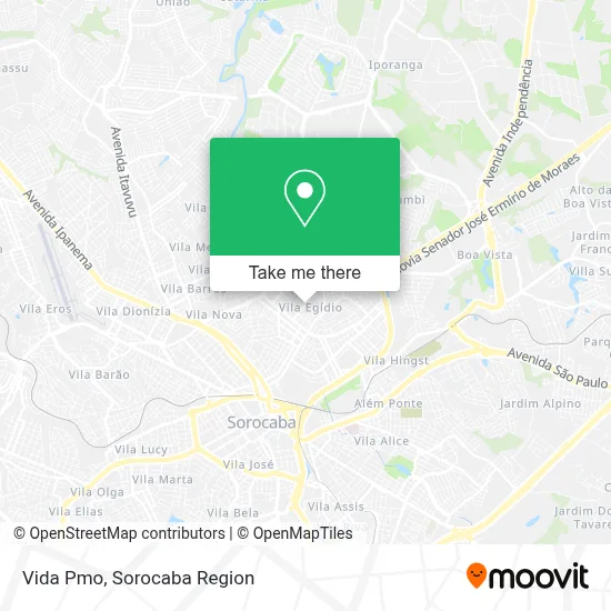 Vida Pmo map