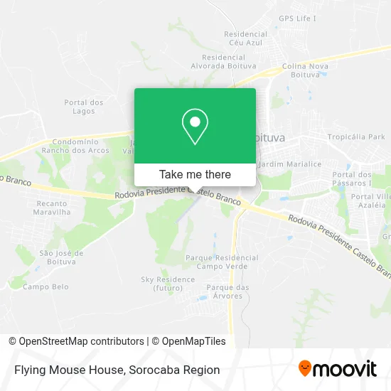 Flying Mouse House map