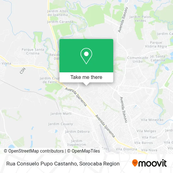 Rua Consuelo Pupo Castanho map