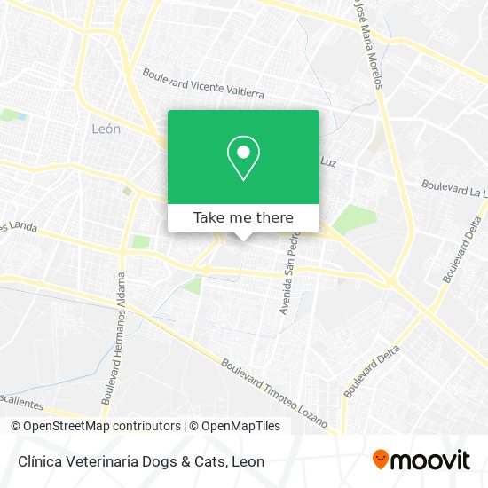Clínica Veterinaria Dogs & Cats map