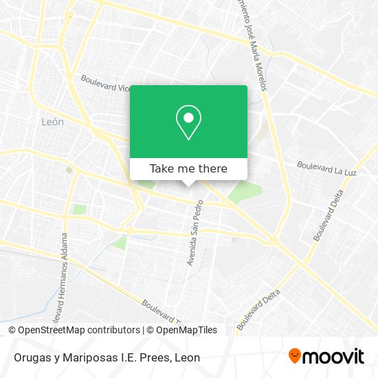 Mapa de Orugas y Mariposas I.E. Prees