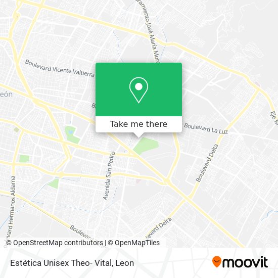 Mapa de Estética Unisex Theo- Vital