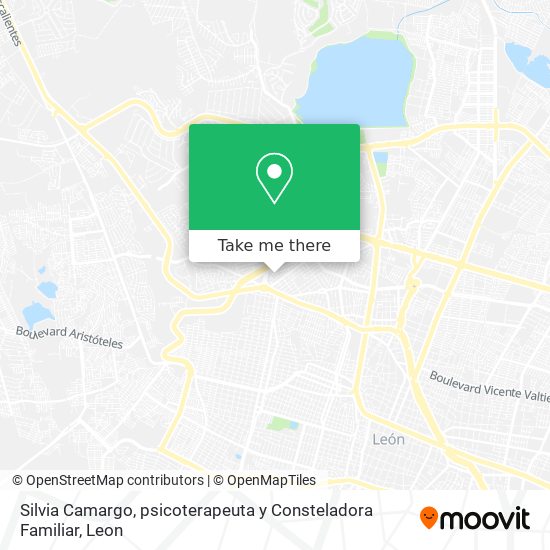 Silvia Camargo, psicoterapeuta y Consteladora Familiar map
