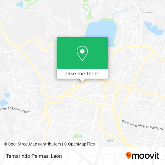 Tamarindo Palmas map