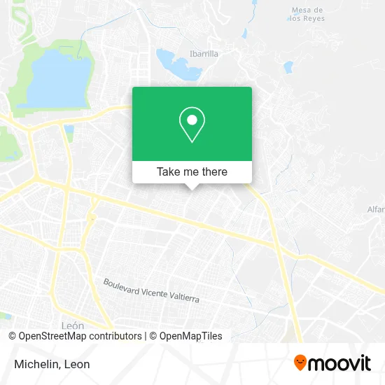 Michelin map