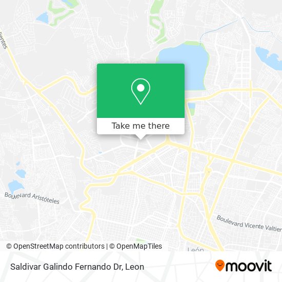 Saldivar Galindo Fernando Dr map