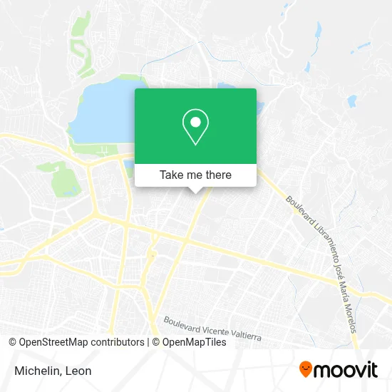 Michelin map