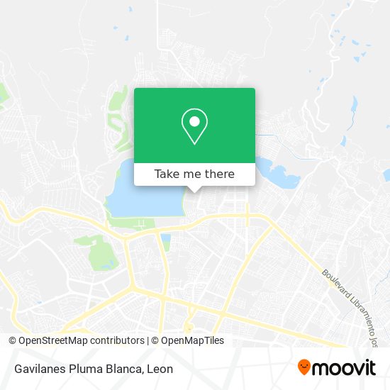 Mapa de Gavilanes Pluma Blanca