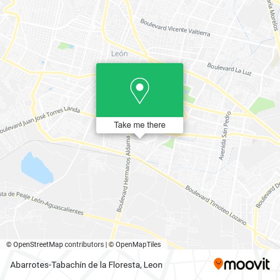 Mapa de Abarrotes-Tabachín de la Floresta