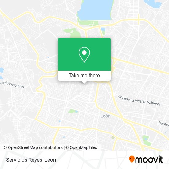 Servicios Reyes map