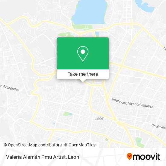Valeria Alemán Pmu Artist map
