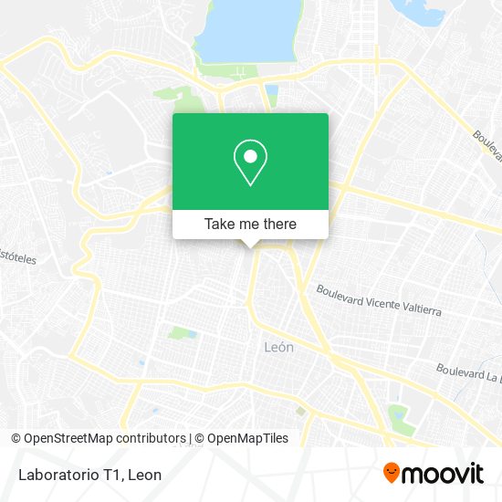 Laboratorio T1 map