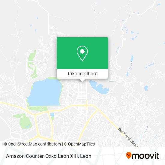 Amazon Counter-Oxxo León XIII map