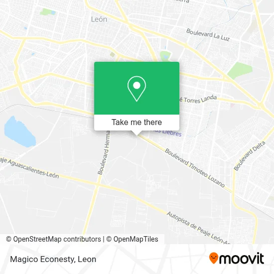 Magico Econesty map
