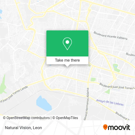 Natural Vision map