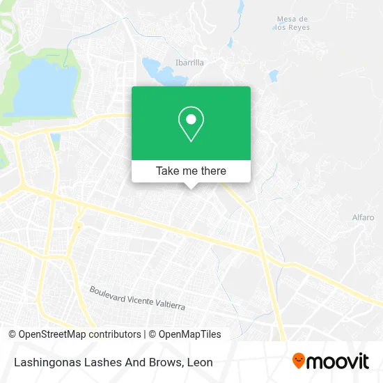 Lashingonas Lashes And Brows map
