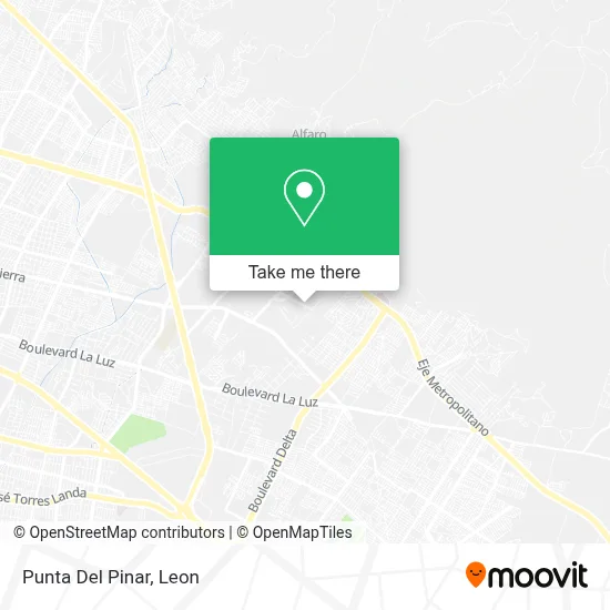 Punta Del Pinar map