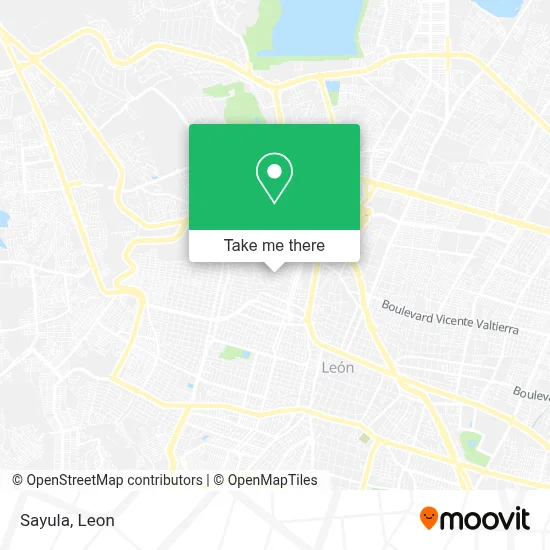 Sayula map