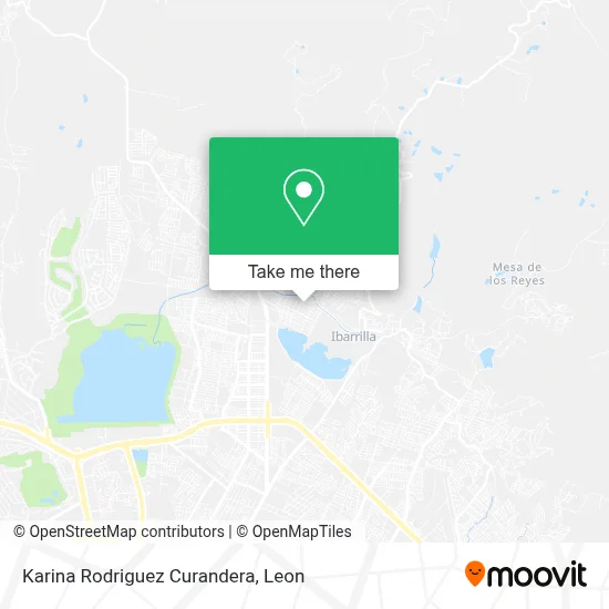 Karina Rodriguez Curandera map