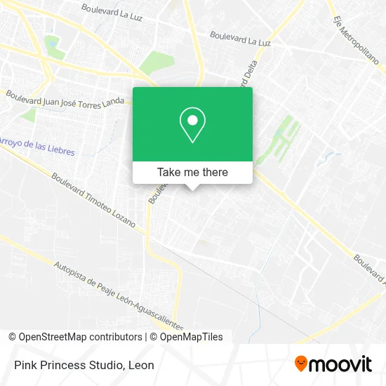 Pink Princess Studio map