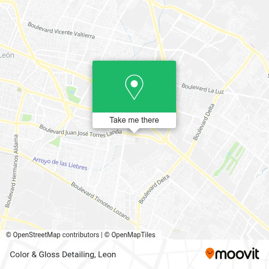 Color & Gloss Detailing map