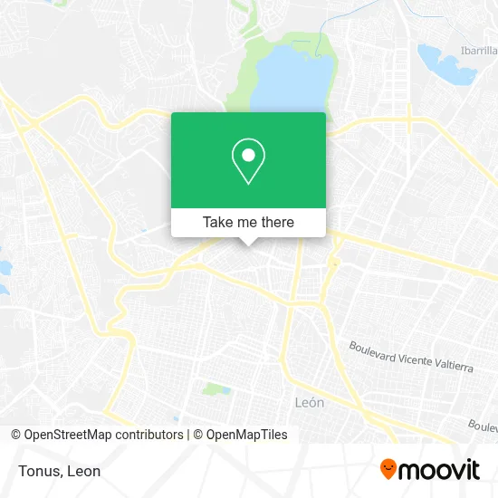 Tonus map