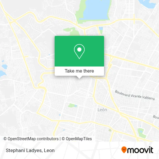 Stephani Ladyes map