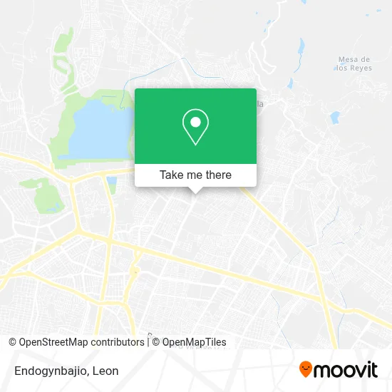 Endogynbajio map