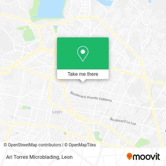 Ari Torres Microblading map