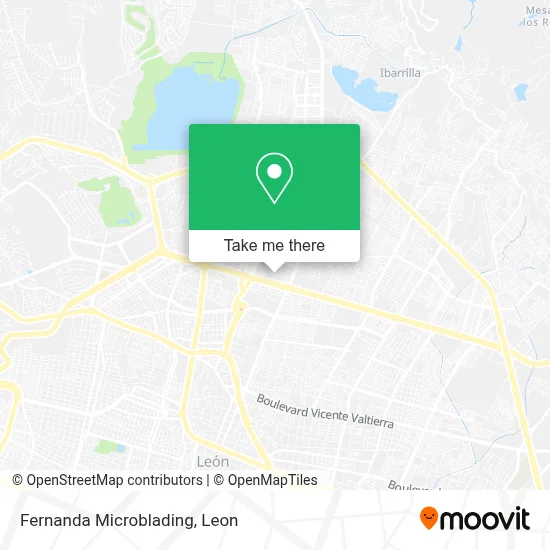 Fernanda Microblading map