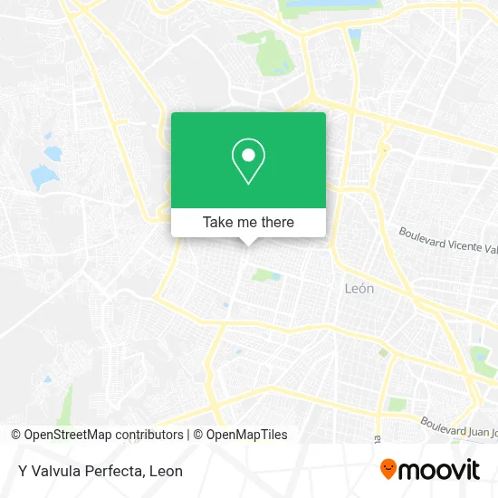 Y Valvula Perfecta map