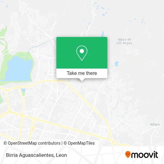 Birria Aguascalientes map