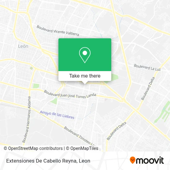 Extensiones De Cabello Reyna map