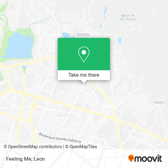 Feeling Me map