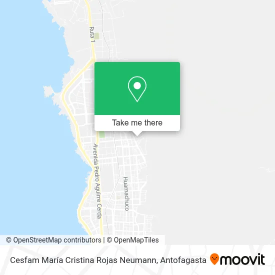 Cesfam María Cristina Rojas Neumann map