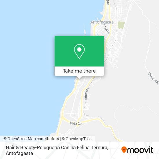 Mapa de Hair & Beauty-Peluquería Canina Felina Ternura