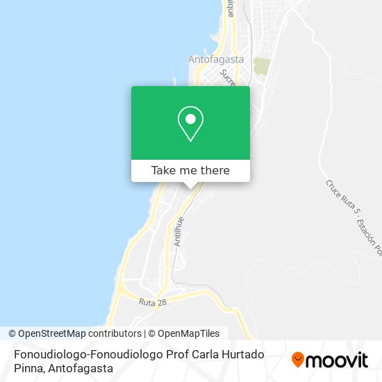 Fonoudiologo-Fonoudiologo Prof Carla Hurtado Pinna map